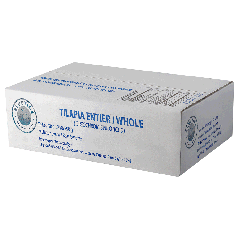 Carton tilapia 300-500g